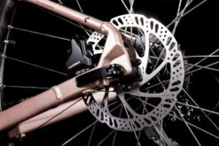 Cube Access WS EAZ Blushmetallic´n´flashyellow -Fahrradförderung 525210 D4