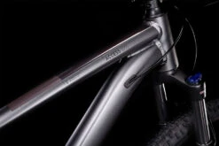 Cube Access WS EXC Grey´n´berry 11 Cube Access WS EXC Grey´n´berry -Fahrradförderung 525300 D1