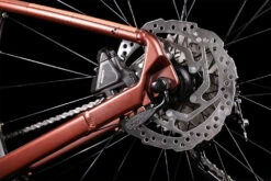Cube Access WS Pro Rubymetal´n´pink -Fahrradförderung 525410 D3