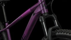 Cube Access WS Darkpurple´n´pink 12 Cube Access WS Darkpurple´n´pink -Fahrradförderung Access WS darkpurple n pink 625100 5