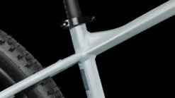 Cube Access WS Airygreen´n´mint -Fahrradförderung CUBE Access WS airygreen n mint 625110 6