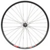 29" XT HB-M8000 / DT Swiss 466d Disc Vorderrad -Fahrradförderung SCM XT HB M8000 466d vorne 1