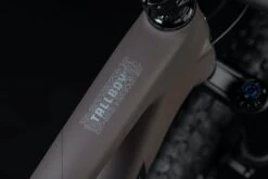 Santa Cruz Tallboy 5 C S -Fahrradförderung Santa Cruz 192219250113 20123431 Tallboy 5 C S 4iB1G55TtrjFPE