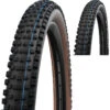 Schwalbe Wicked Will Evo Super Ground 29" Addix E-50 Faltreifen -Fahrradförderung Schwalbe Wicked Will Evo Super Ground