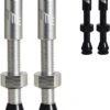 Tubeless Ventil-Set -Fahrradförderung title 20114026 Tubeless Ventil Set 1a